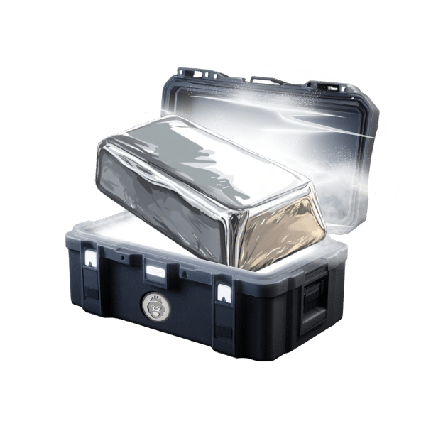 Bricks case thumbnail